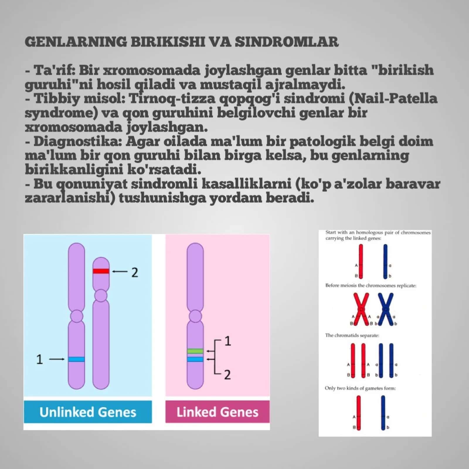 Morganning xromosoma nazariyasi va uning tibbiyotdagi o'rni 3
