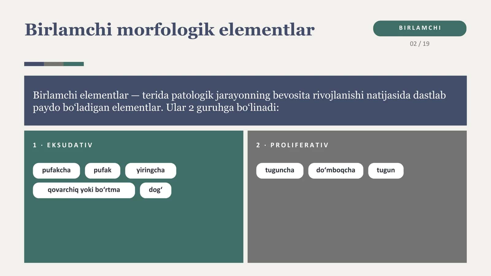 Birlamchi va ikkilamchi morfologik elementlar 3