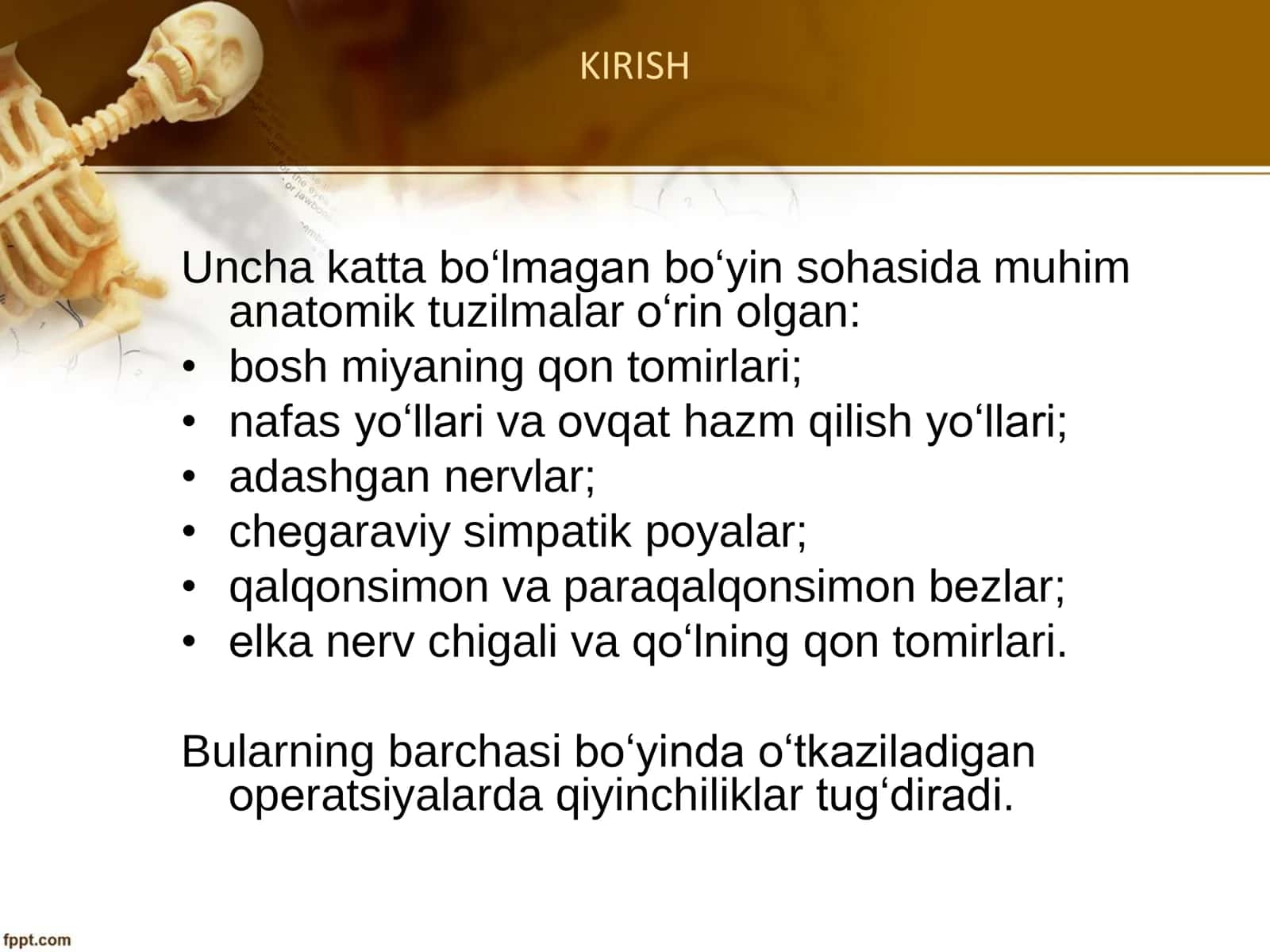 Boʻyin sohasi klinik anatomiyasi 3