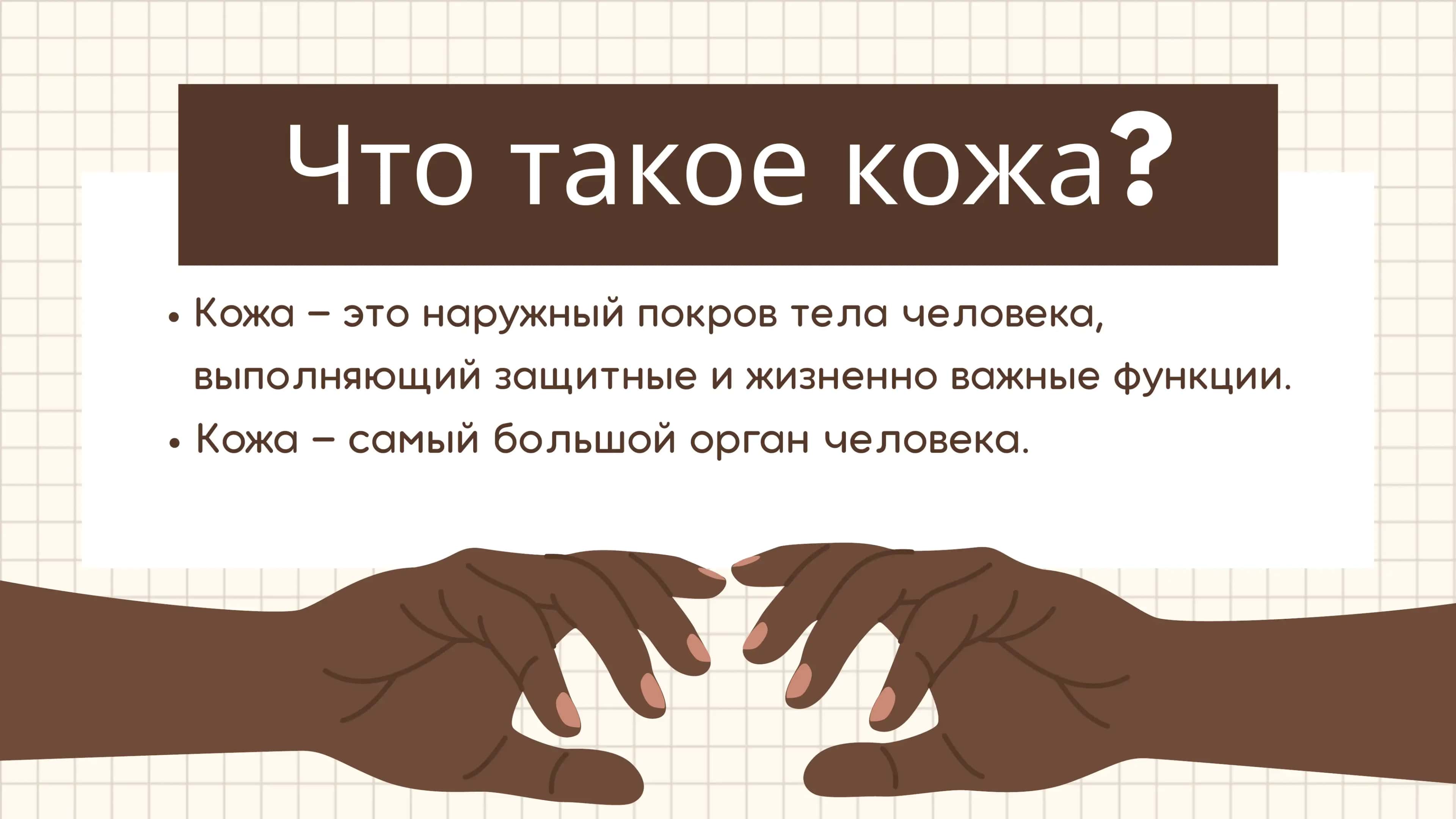 Вся информация о коже 📖🔬 3