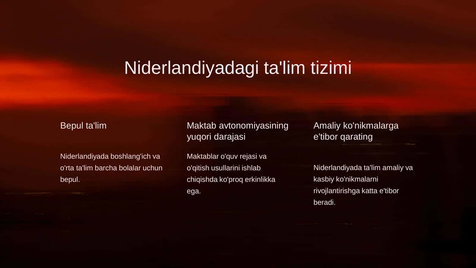 Niderlandiya, Hindiston va Finlandiya davlatlari ta'lim tizimi 3