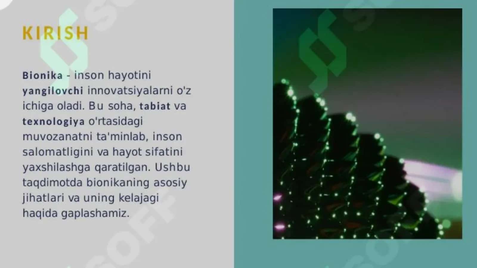 Bionika asoslari va uni inson hayotidagi o'rni 3