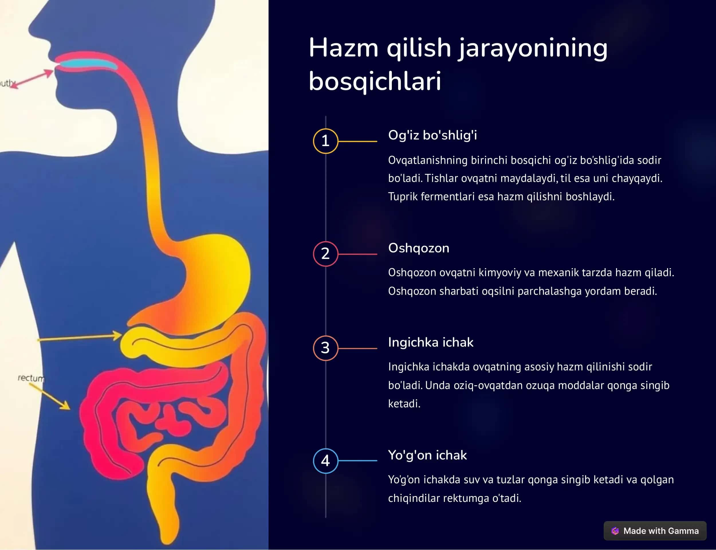Hazm qilish jarayonini boshqarish: Sog'lom ovqatlanishning kaliti 3