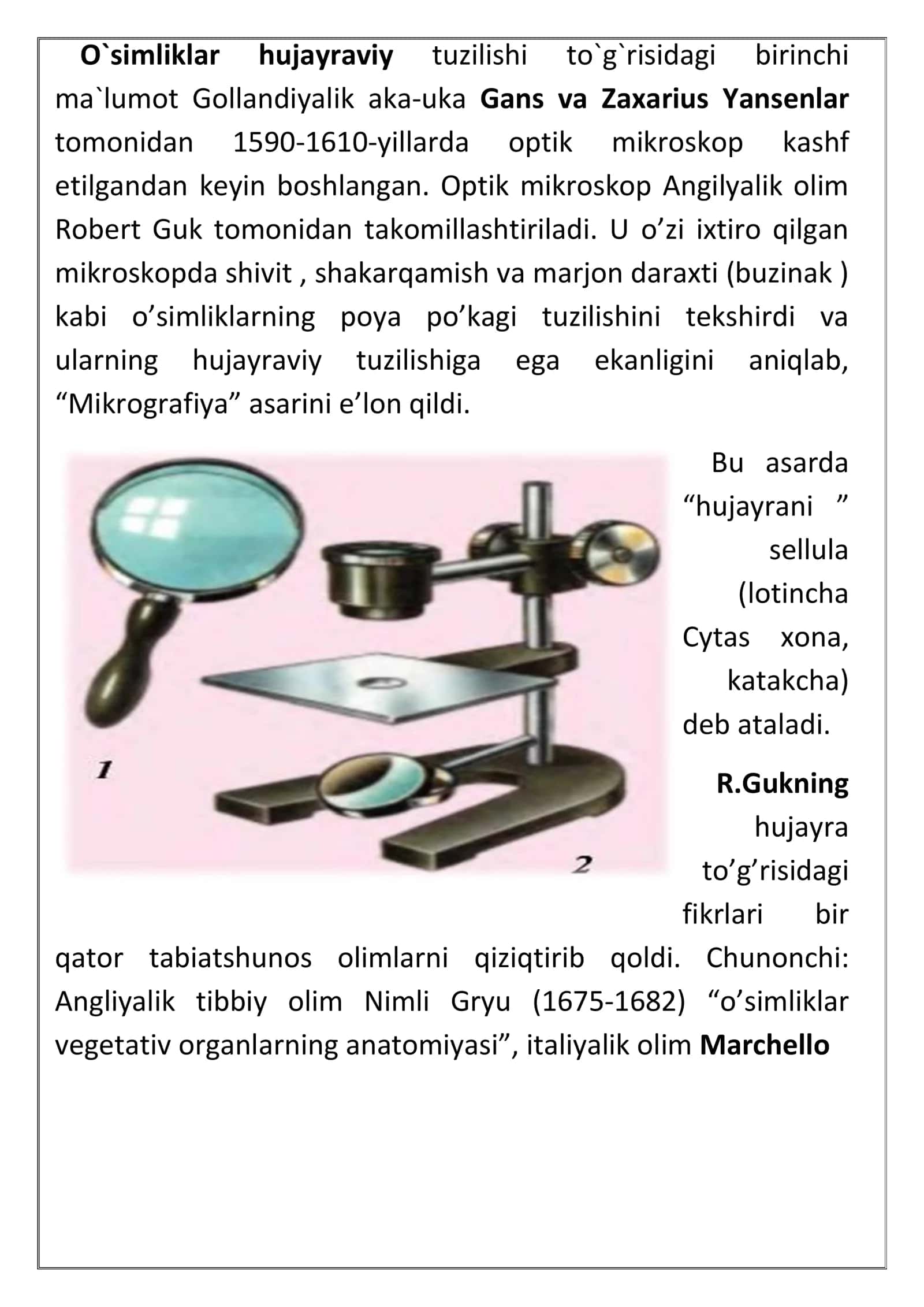 Mamadaliyev Abrorning "Botanika va O`simliklar fiziologiyasi" 3