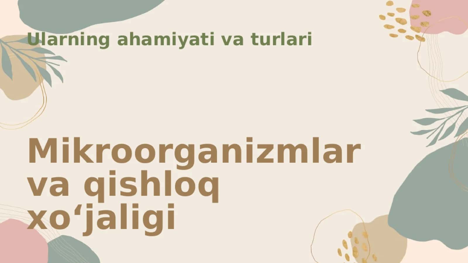 mikroorganizmlarning tabiatda tarqalishi 3