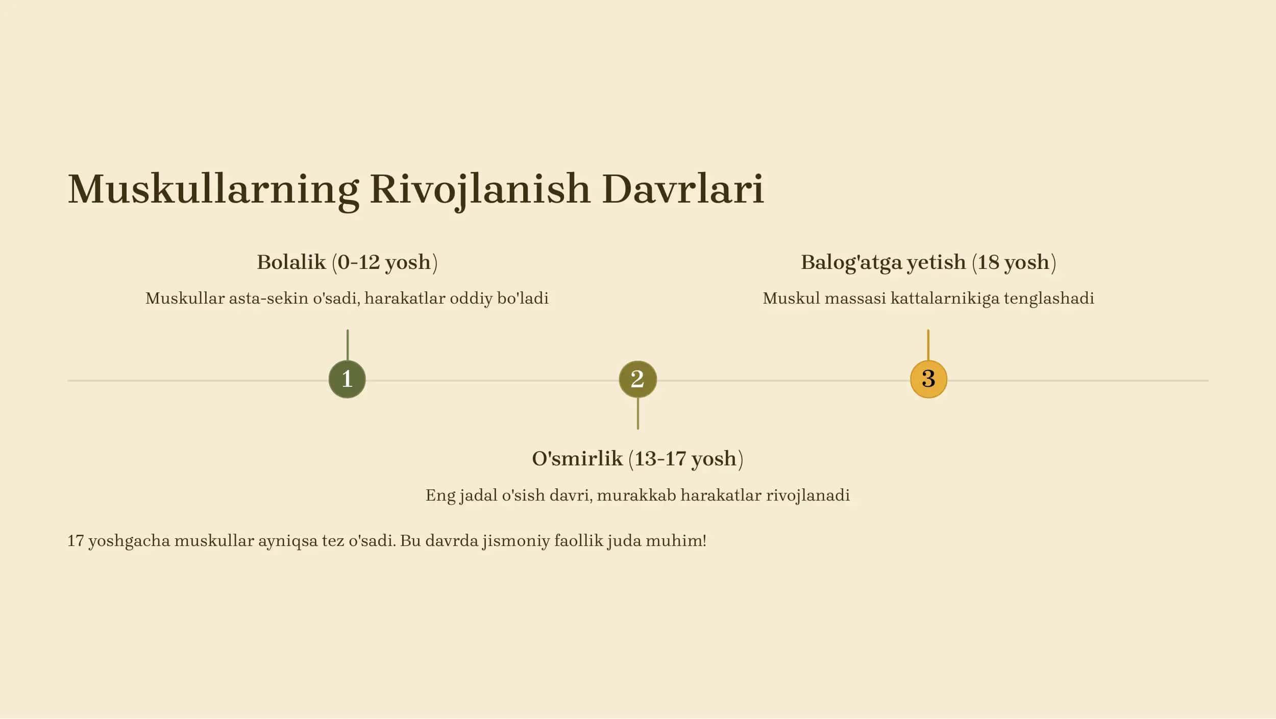 Muskullar va Qad-qomatning Rivojlanishi 3