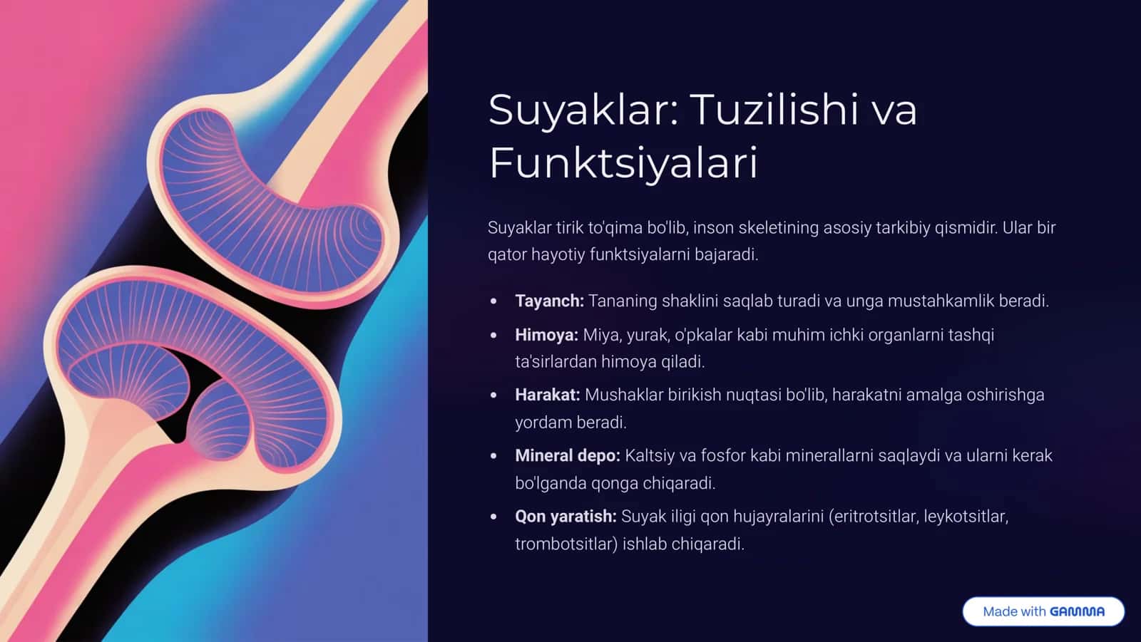 Tayanch 3