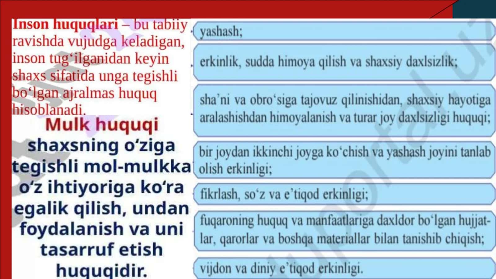 Fuqarolarning shaxsiy, siyosiy, ijtimoiy, iqtisodiy, madaniy va ekologik huquqlari 3