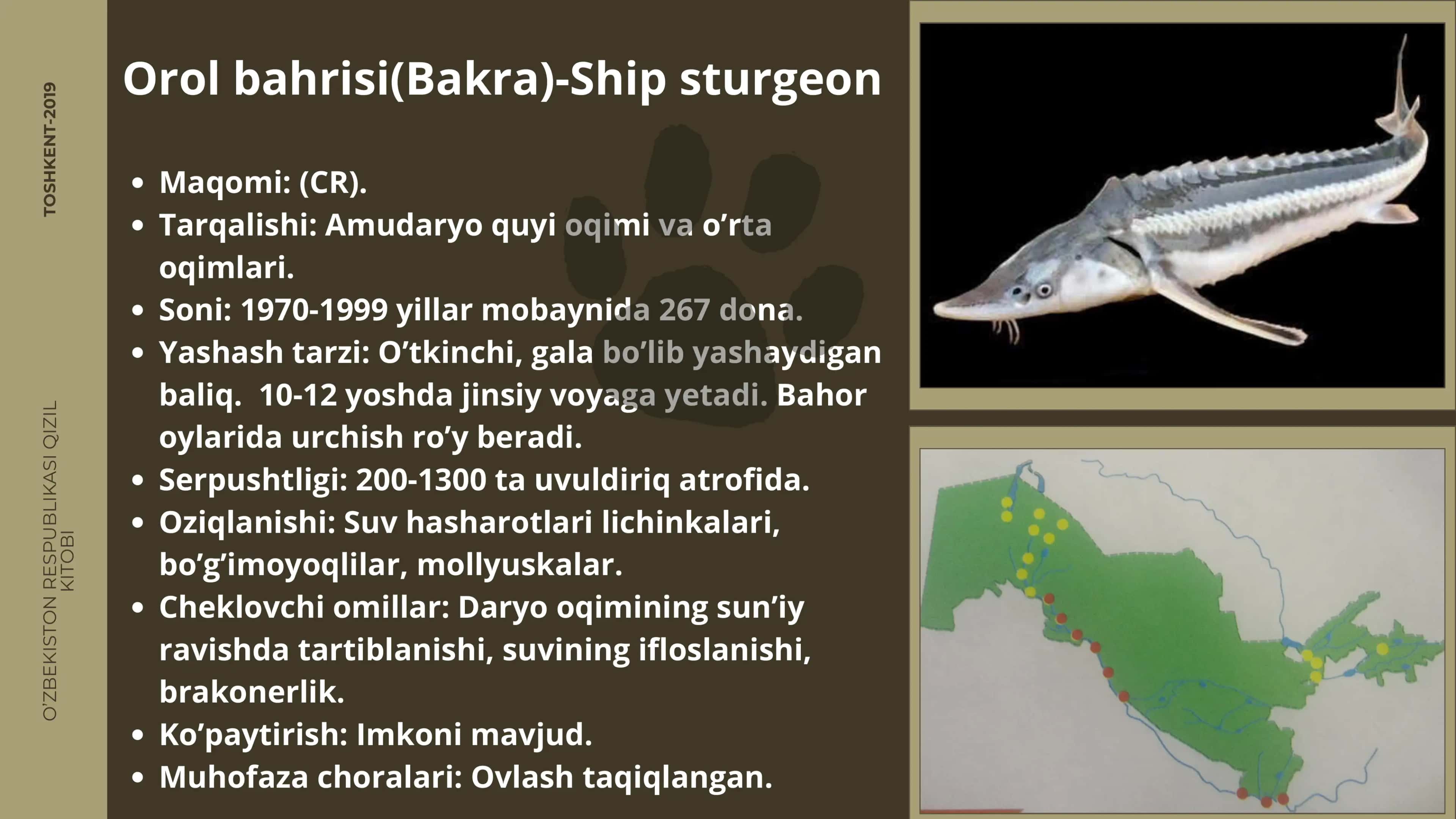 qizil kitobga kiritilgan umirtqalilar 3