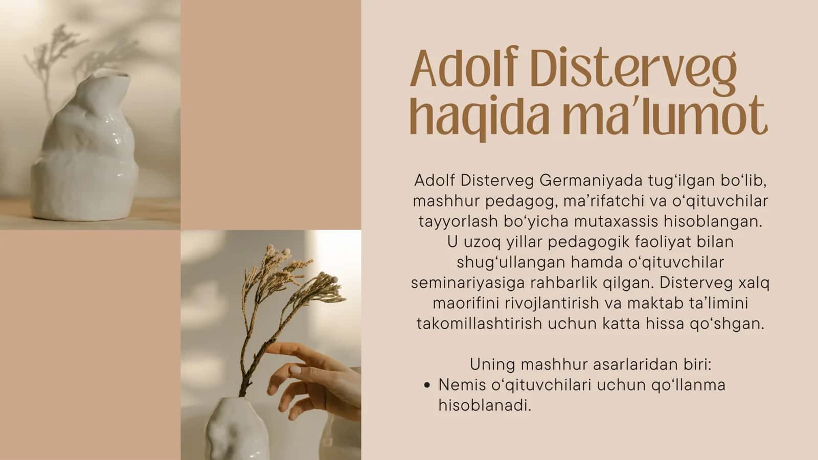 Adolf Distervegning rivojlantiruvchi ta’lim nazariyasi 3