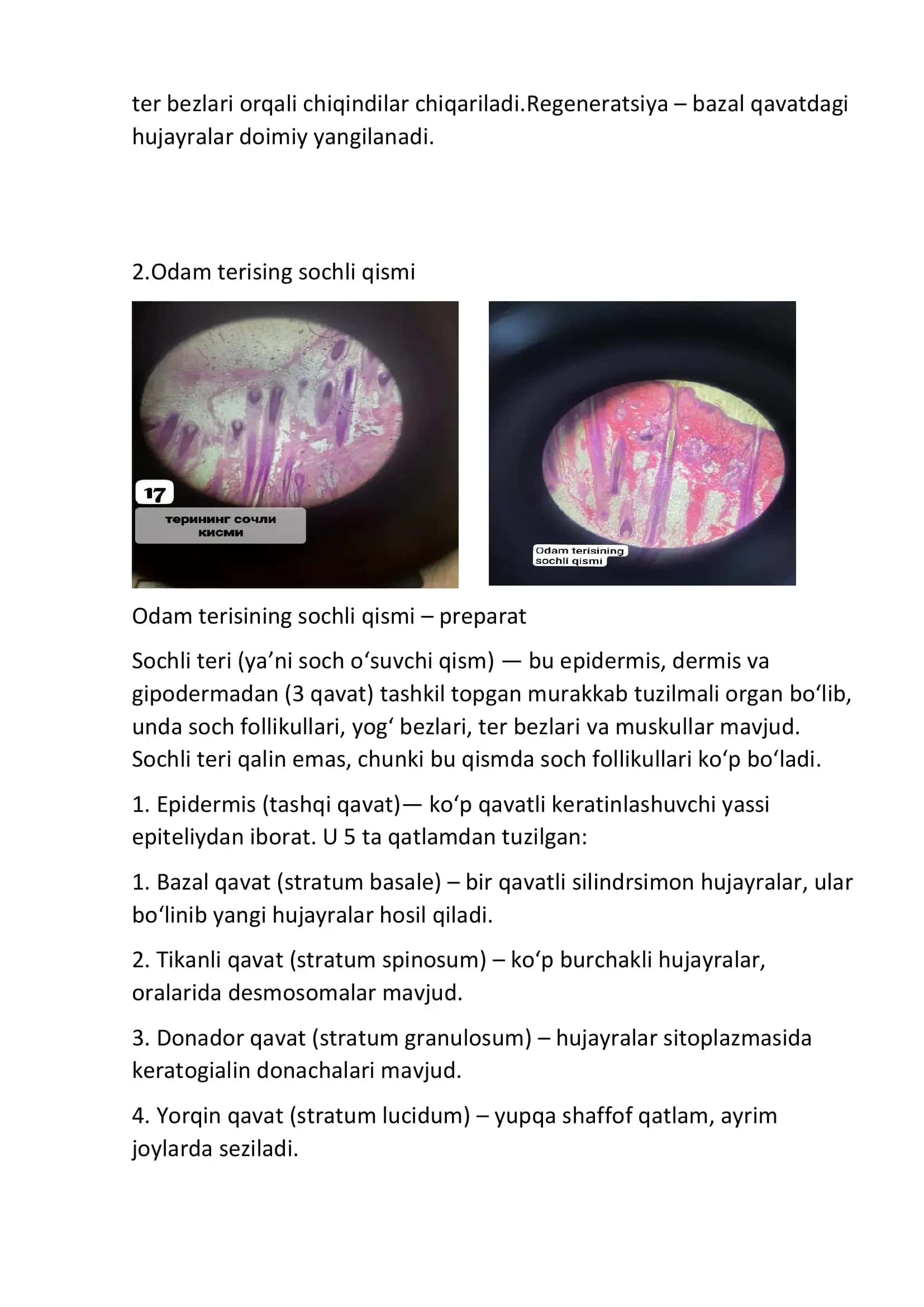 Odam barmog'ining terisi 3
