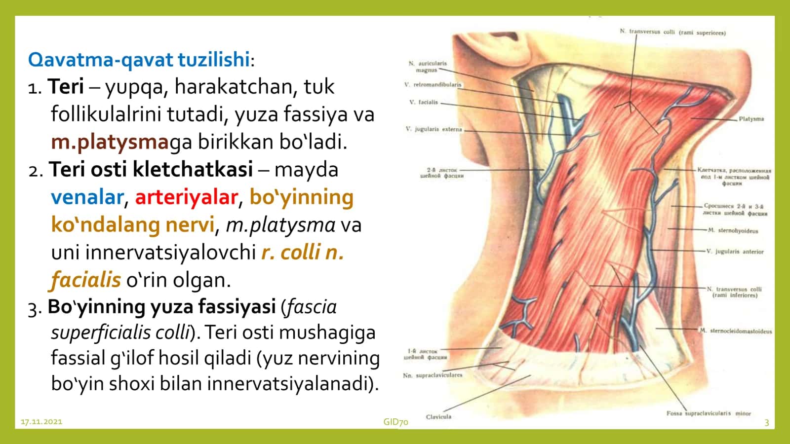 Uyqu uchburchagi 3