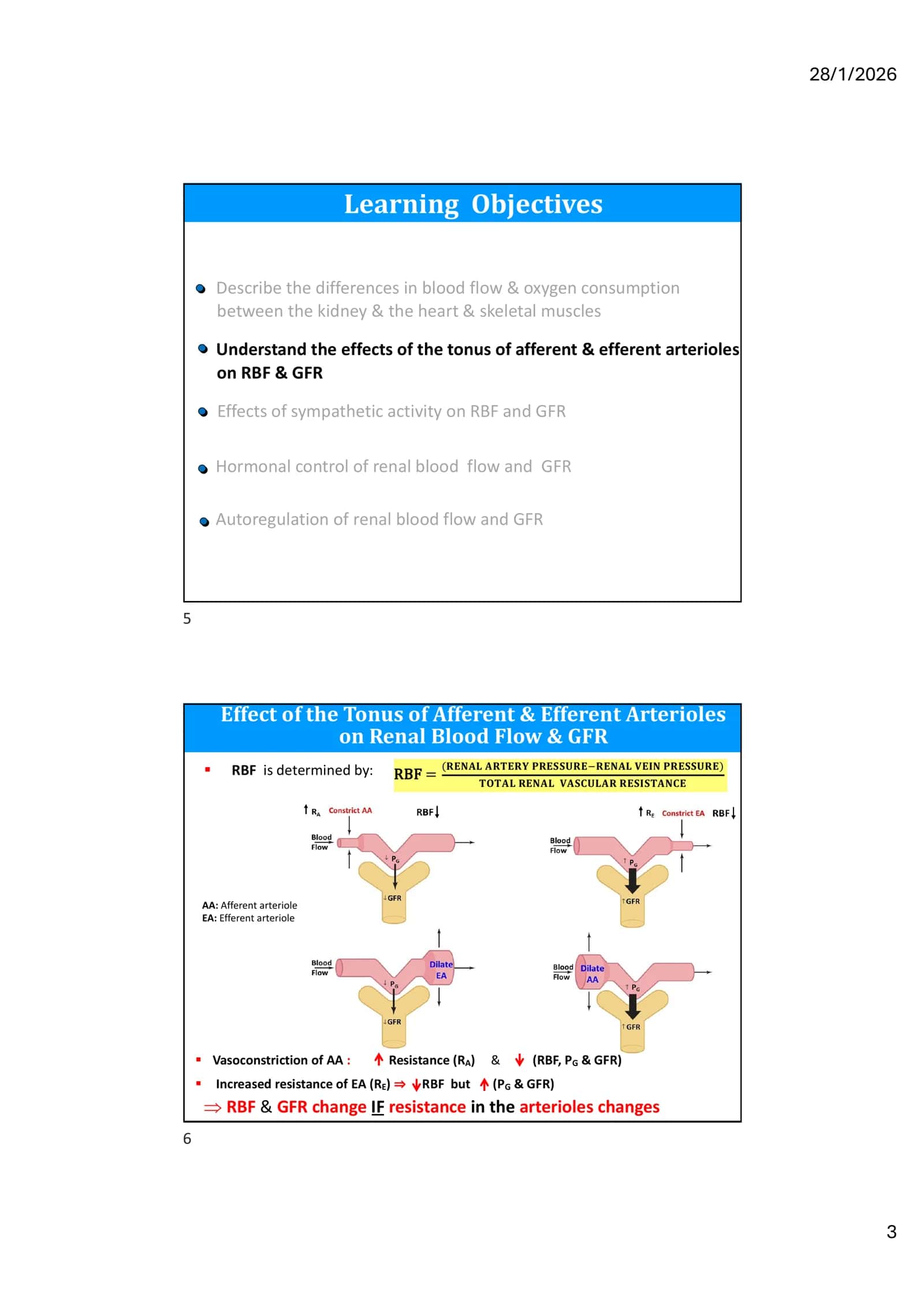 Glomerular Filtration and Renal Hemodynamics II 3