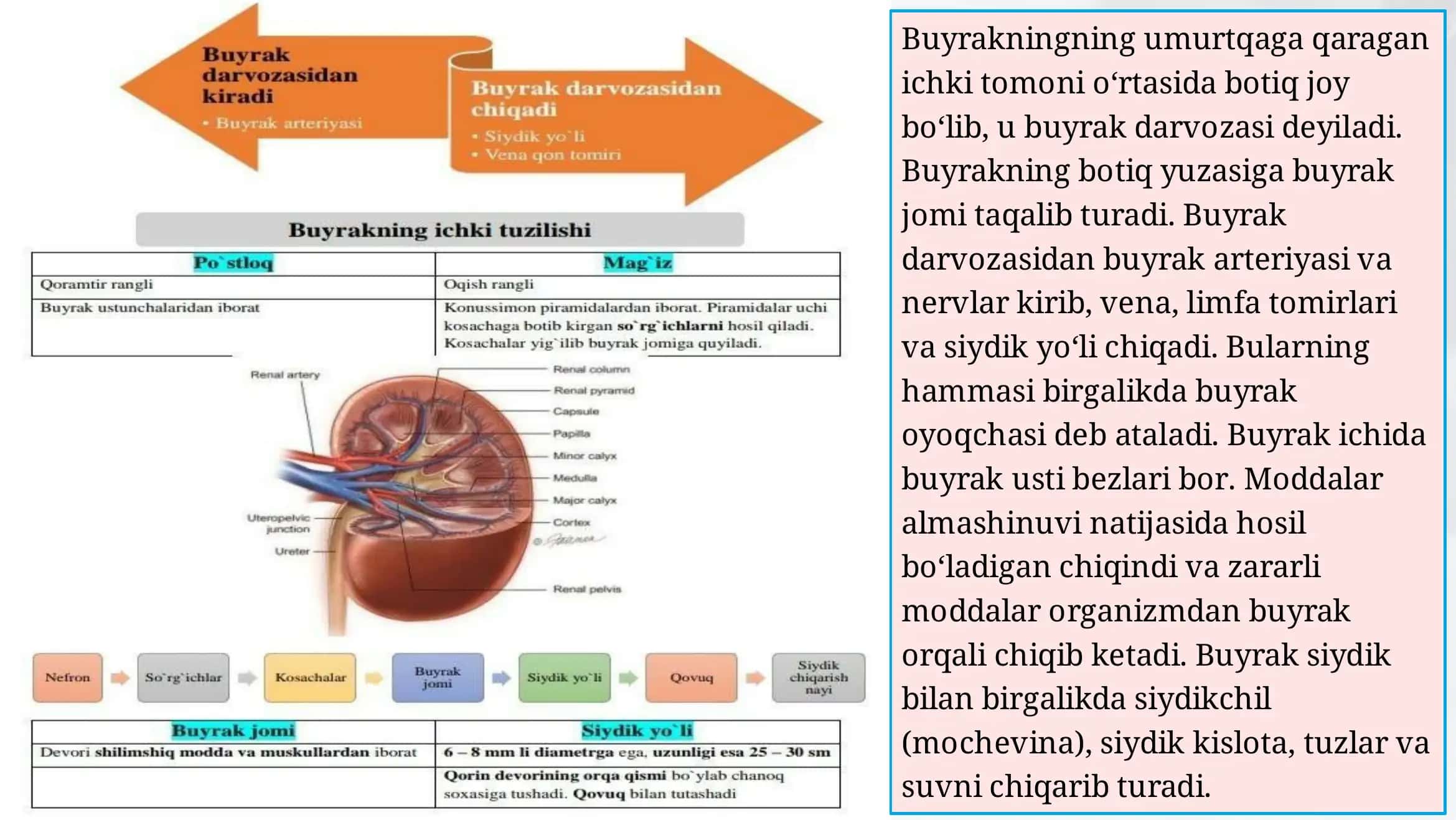 Odamlarning ayirish sistemasi 3