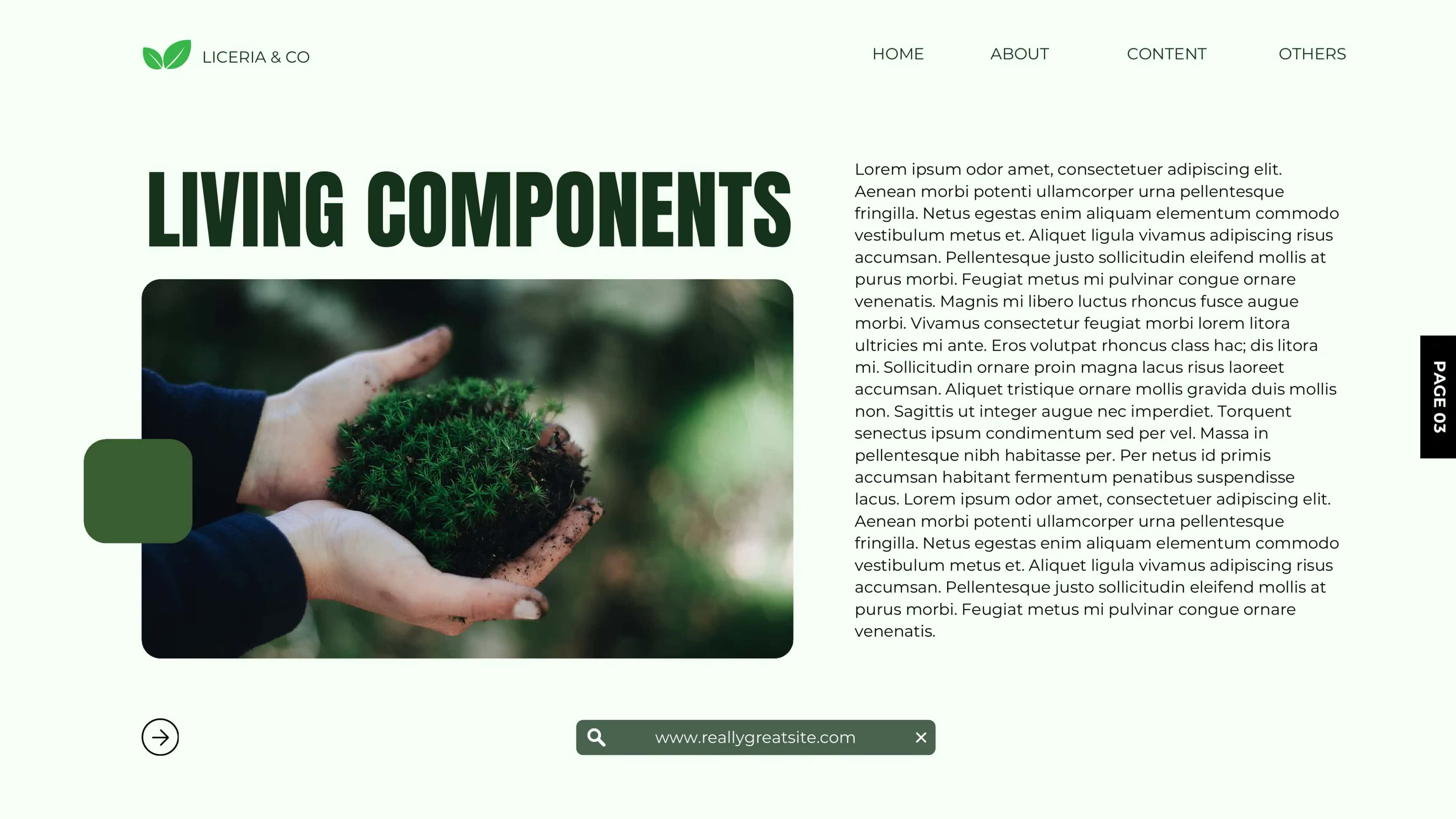 WHAT IS ECOSYSTEM? 3