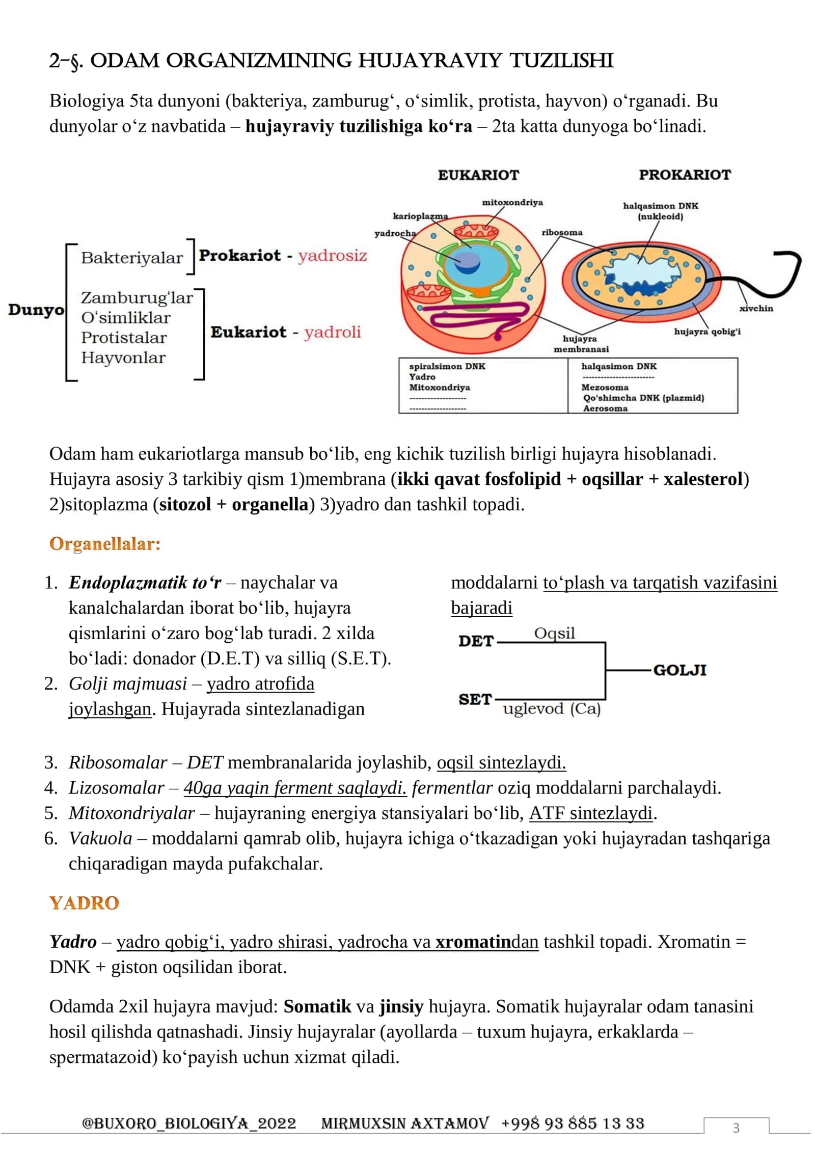 Anatomiya – organizm (organlar) ichki tuzilishini 3