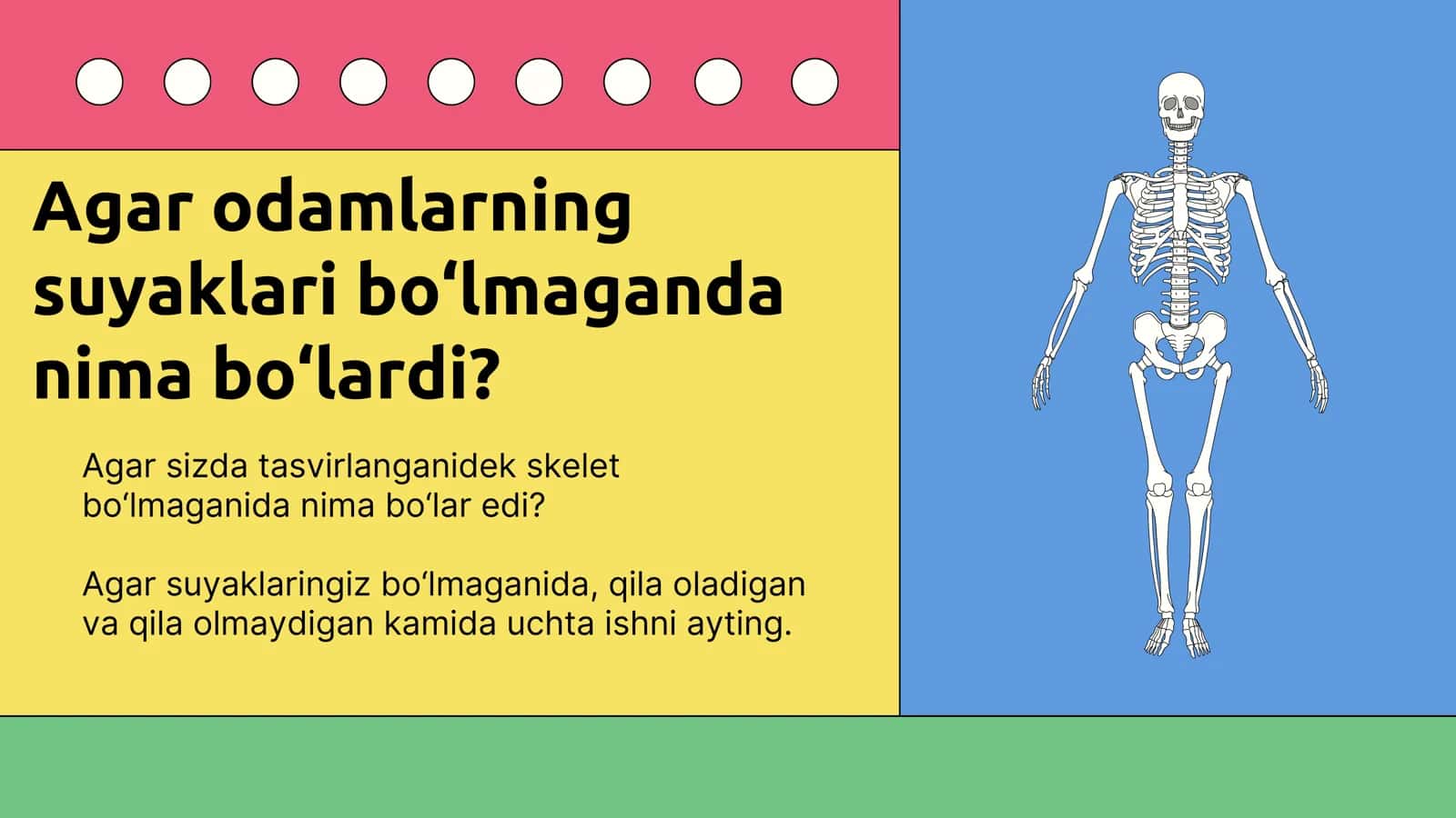 tayanch harakatlanish sistemasi prezintatsiya 3