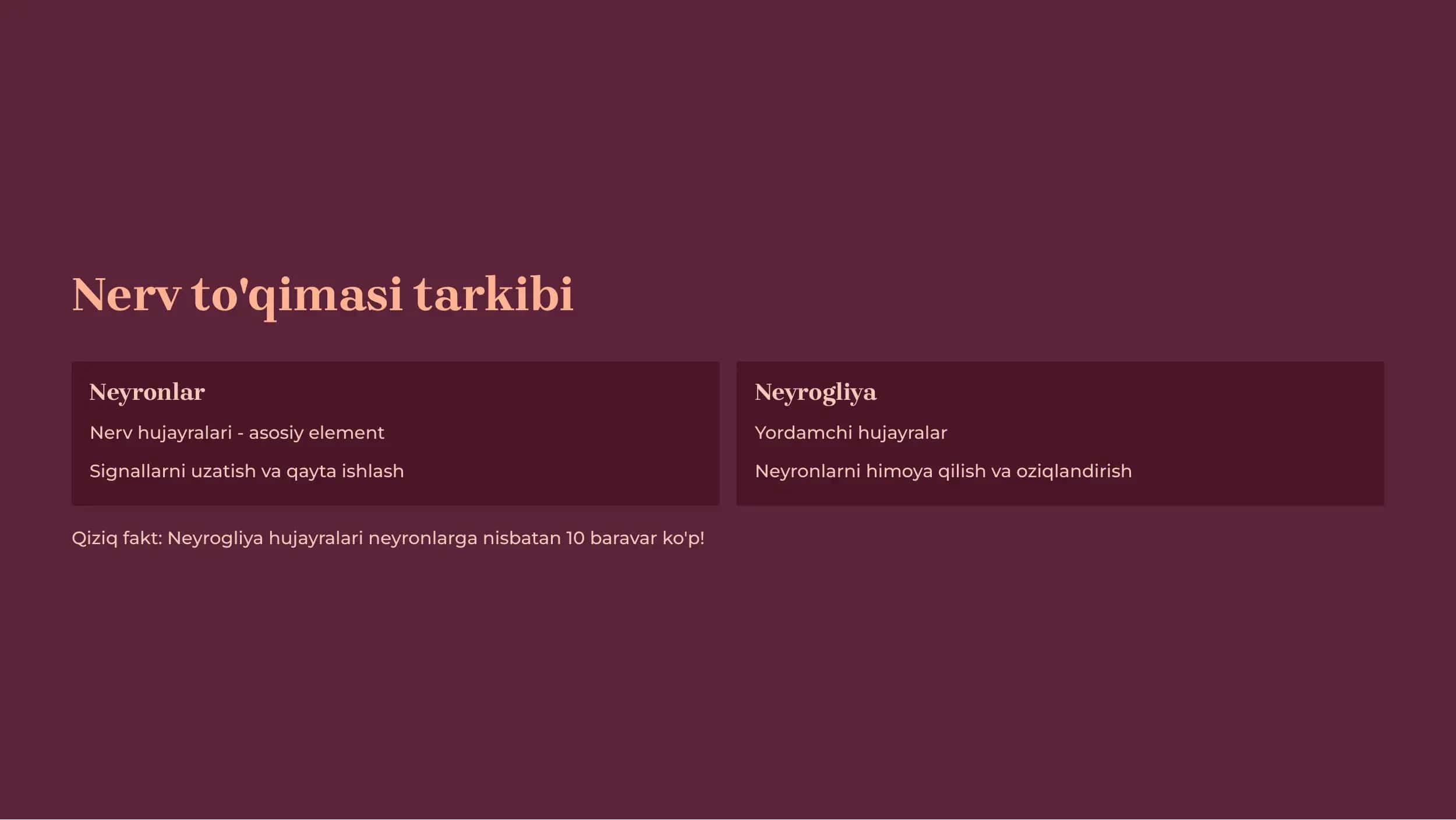 Nerv Sistemasining Tuzilishi 3