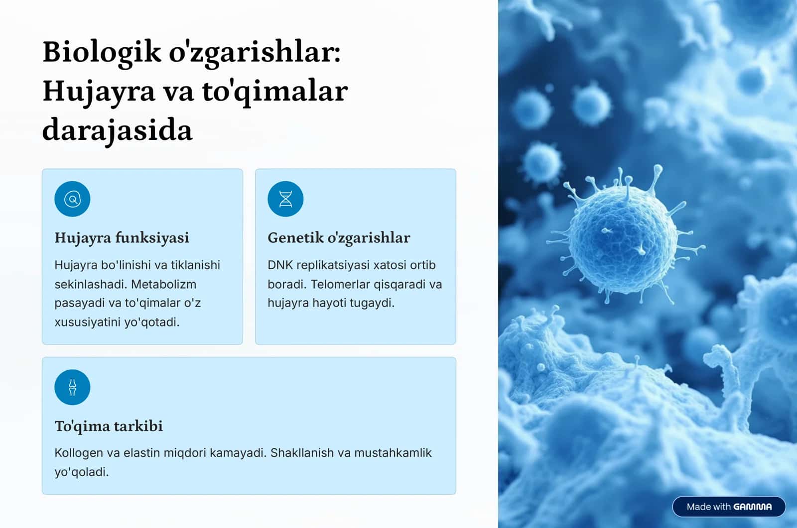 organizmning keksayish davriga xos boʻlgan umumiy maʼlumot 3