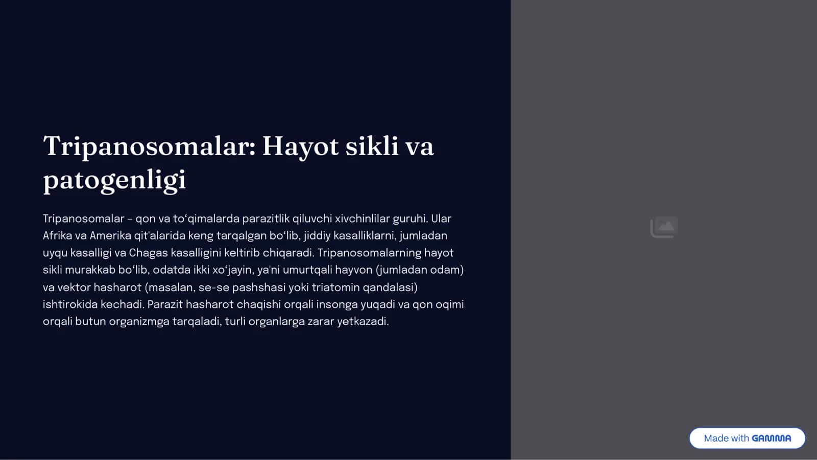 Odamlarda parazitlik qiluvchi sodda xayvonlar: xivchinlilar odam parazitlari: tripanosomalar, leyshmaniyalar, trixomonodalar, lyambliyalar 3