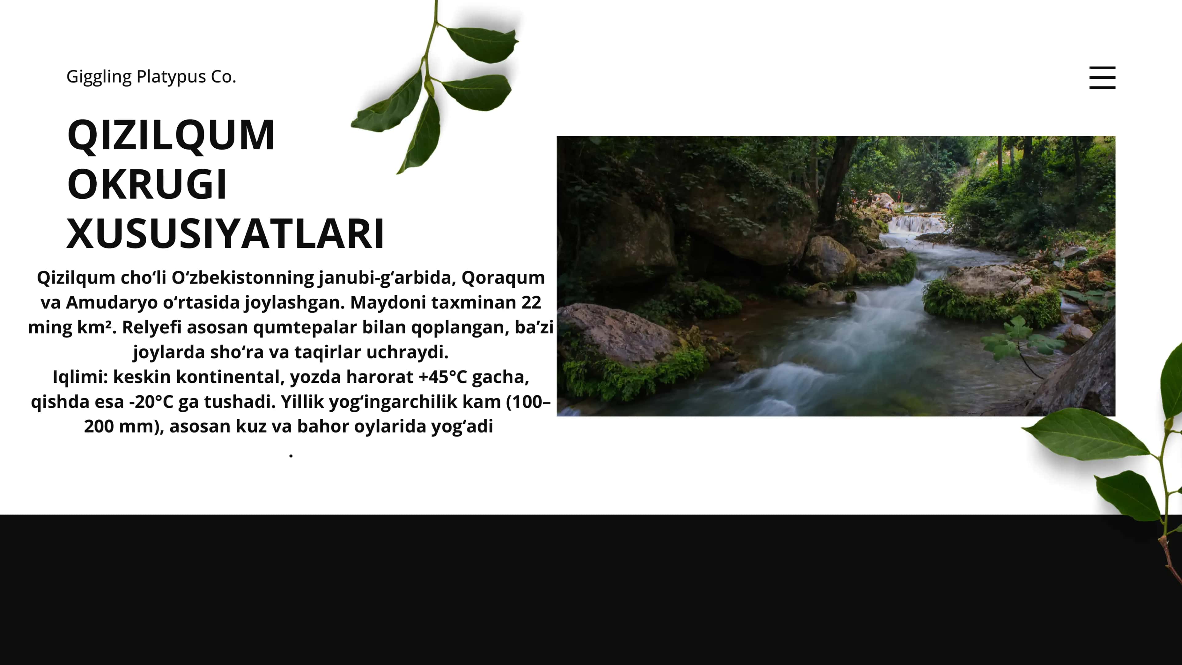 Qizilqum okrugi hayvonot va o'simlik dunyosi 3