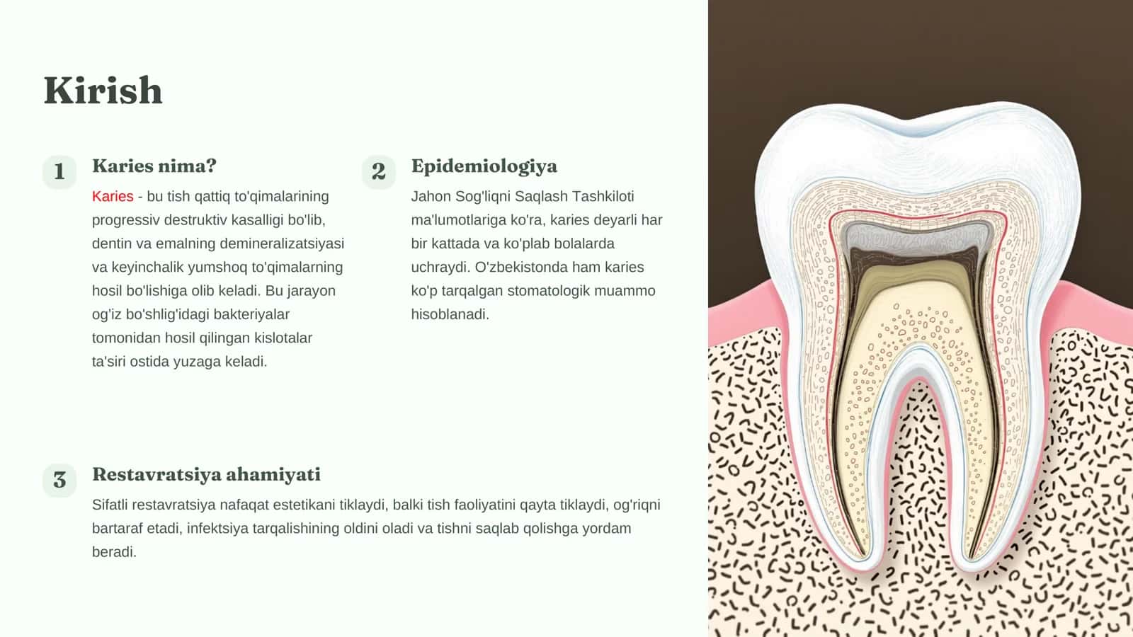 Karies kovaklarini sinflariga oid restavrasiya qilish 3