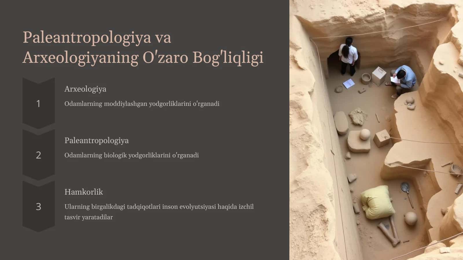 Paleantropologiya va Arxeologiya 3