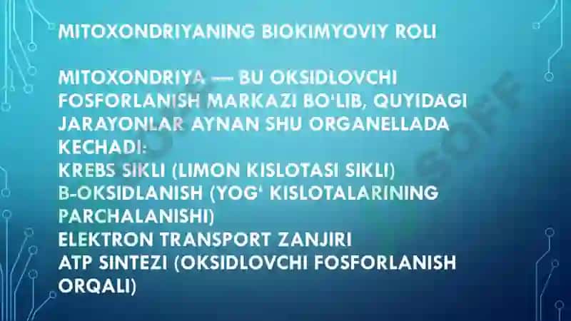 Biokimyo mustaqil ish 3