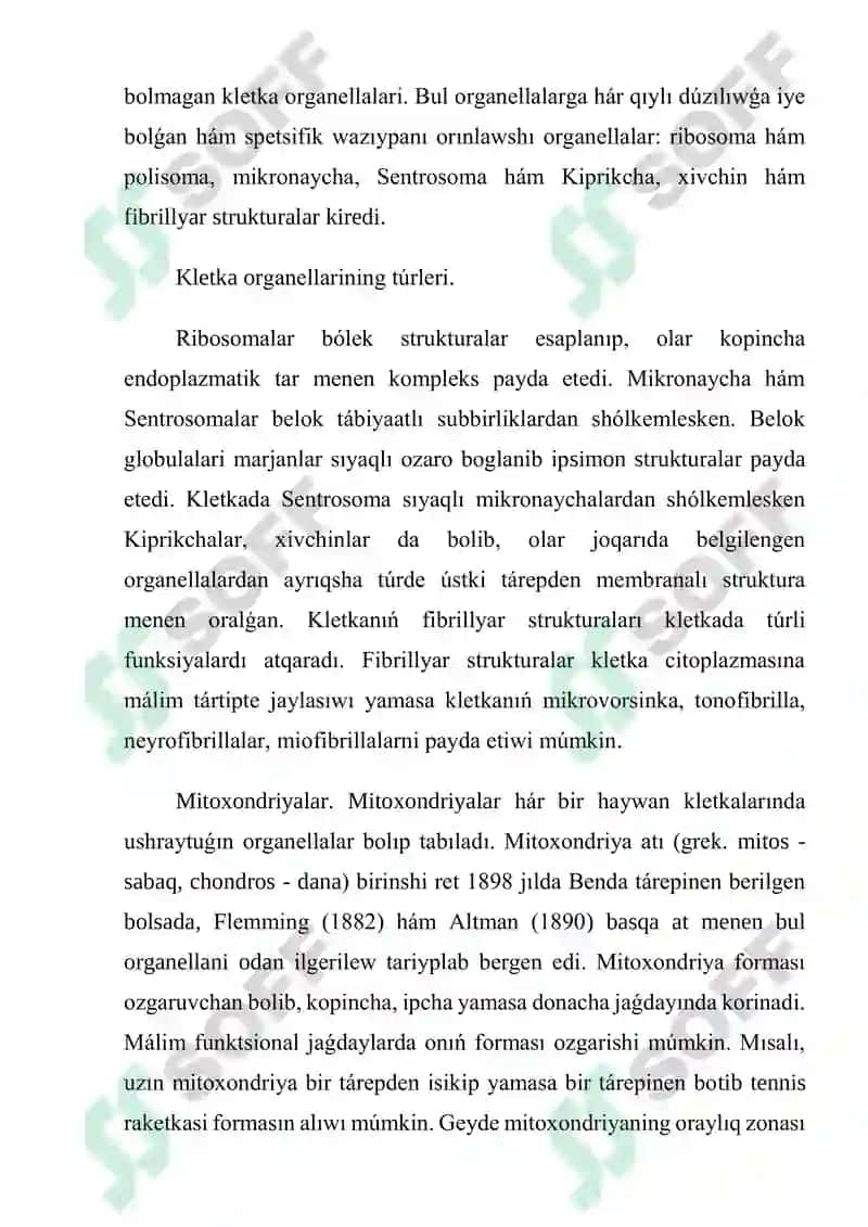 Kletka hám orgenellardiñ morfologik tárepten dúzilislik tiykari 3