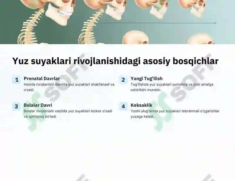 Yuz suyaklarining yoshga va jinsga nisbatan farqlari 3