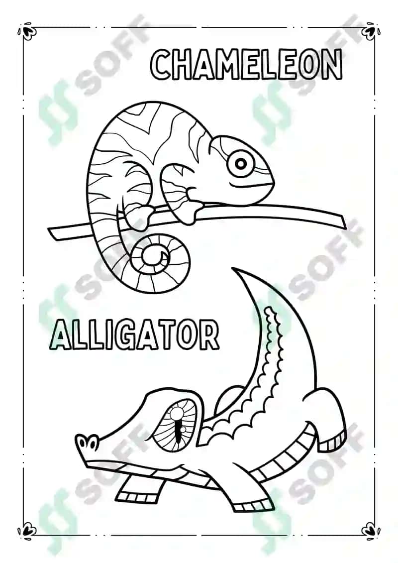 wildlife coloring book 3
