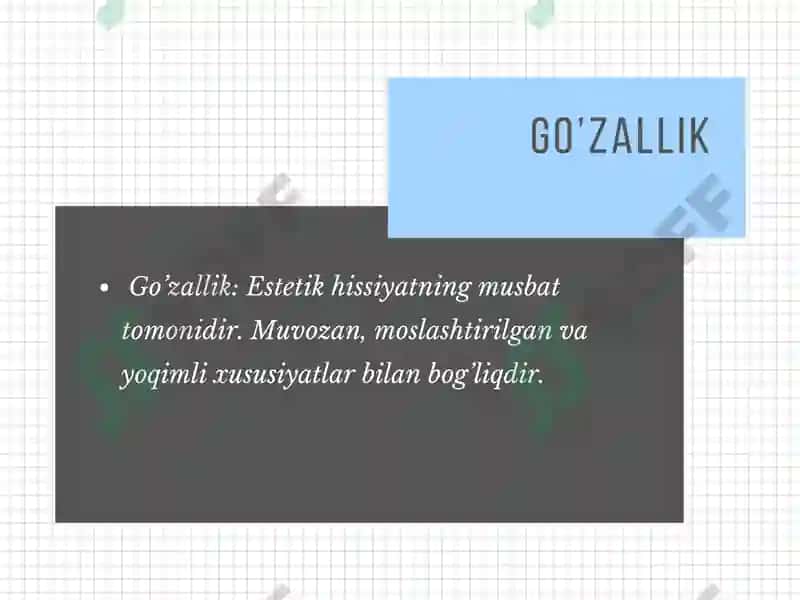 ESTETIKANING ASOSIY KATEGORIYALARI 3