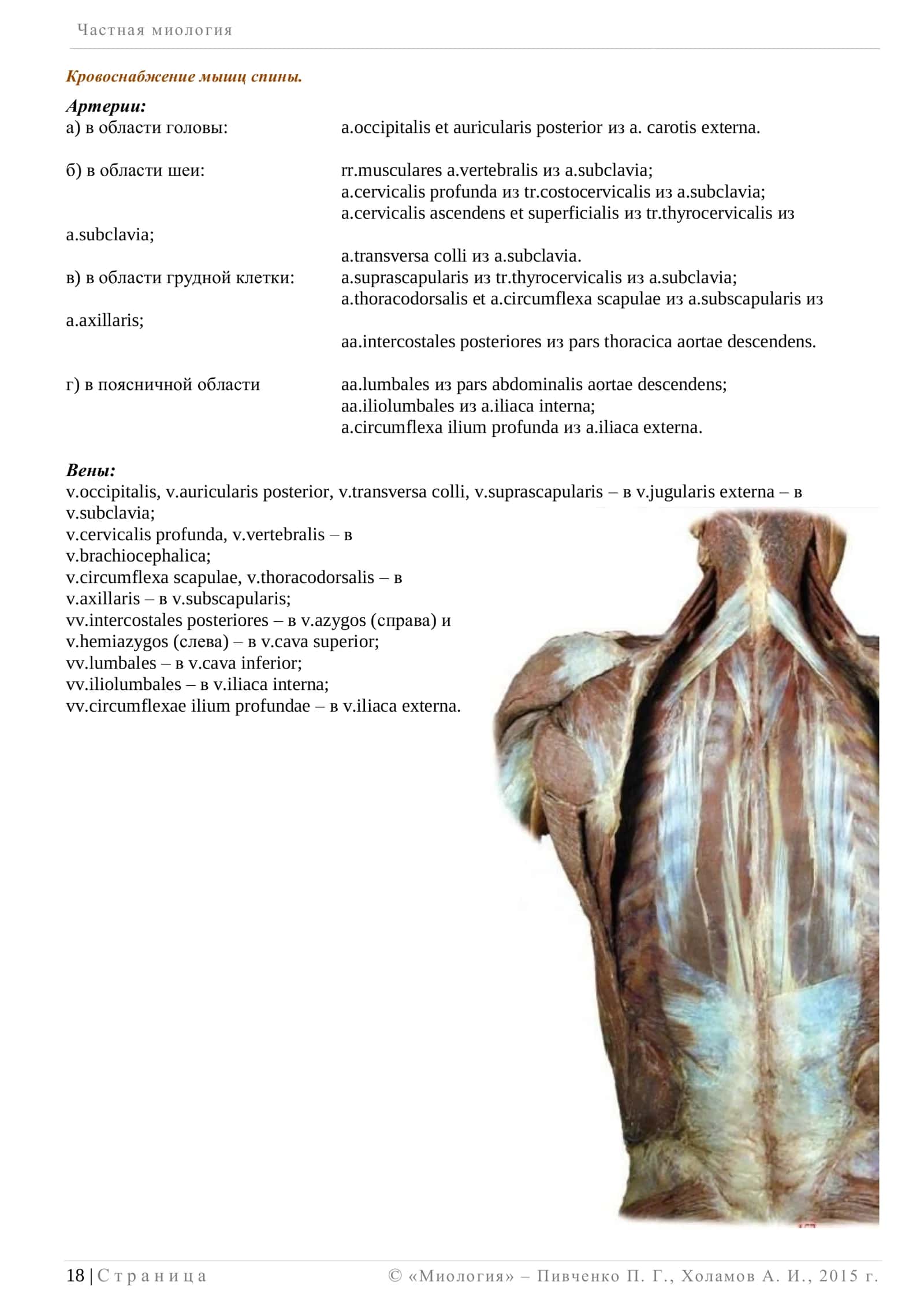 Частная миология 3