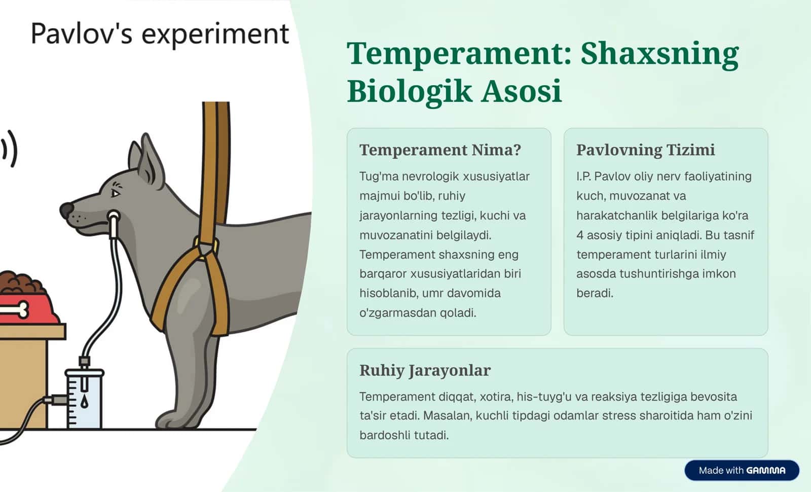 SHAXS PSIXOLOGIYASI: TEMPERAMENT, XARAKTER, QOBILIYAT VA MULOQOT 3