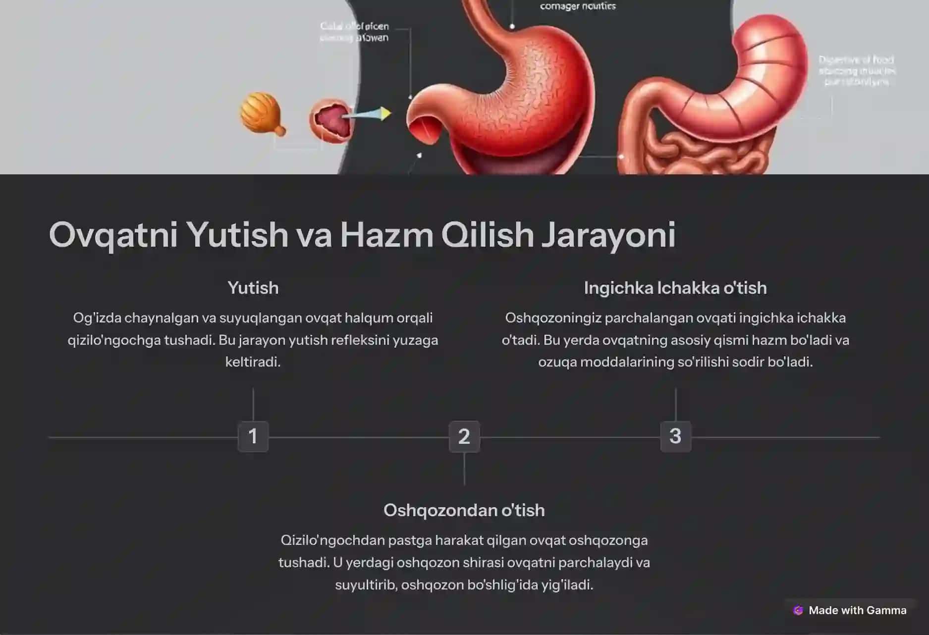 Ovqat Hazm Qilish 4