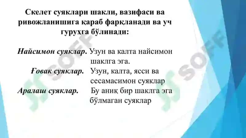 ОСТИОЛОГИЯ 4
