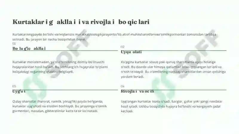 Novda va kurtaklar 4