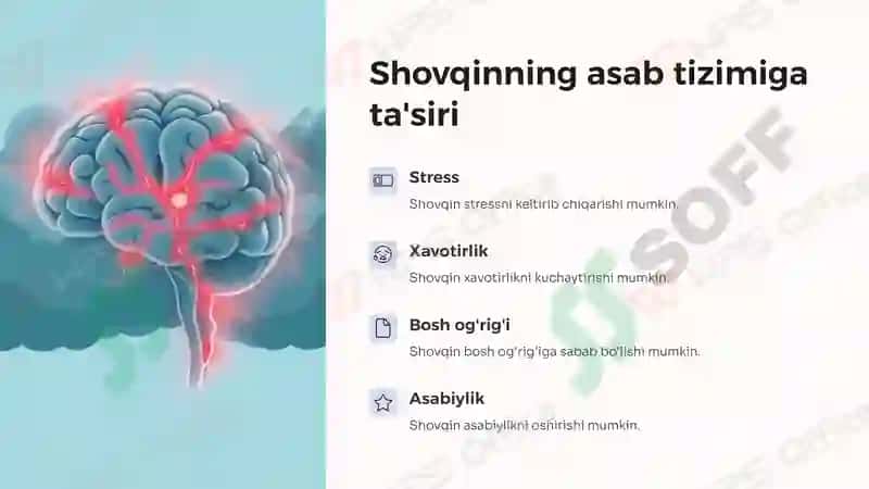 Shovqinning ta'rifi va turlari 4