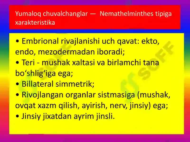 YUMALOQ CHUVALCHANGLAR 4