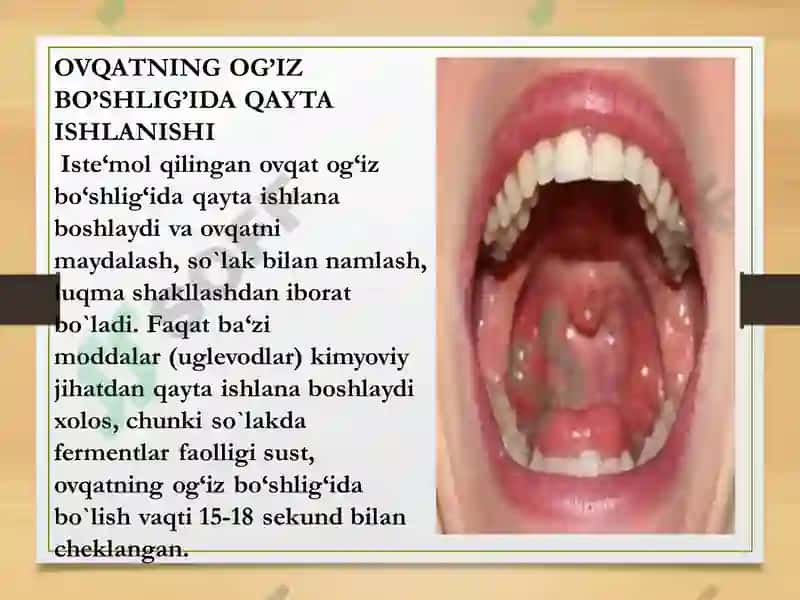 Kumushoyning Gistalogiya sitalogiya embriologiya taqdimoti 5