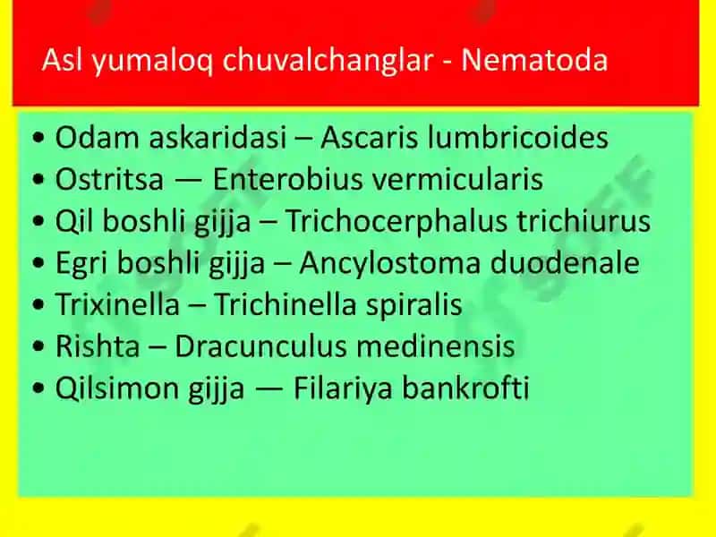 YUMALOQ CHUVALCHANGLAR 5
