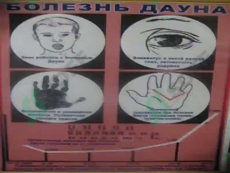 Ирсий касалликлар 6