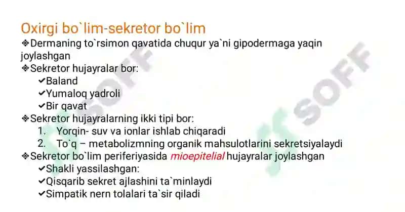 GISTOLOGIY 6