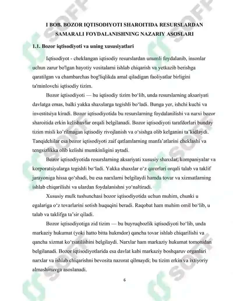 Bozor iqtisodiyoti sharoitida resurslardan samarali foydalanish muammolari 6