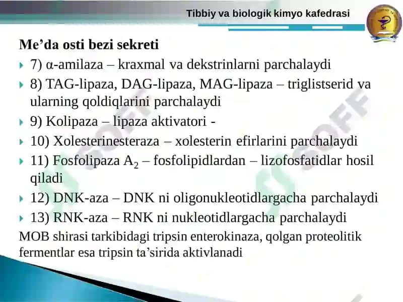 So’lak, OIT, MOB va jigarning sekretor mаhsulоtlаri va ulardagi metabolitik va bоshqаruv jarayonlari 7
