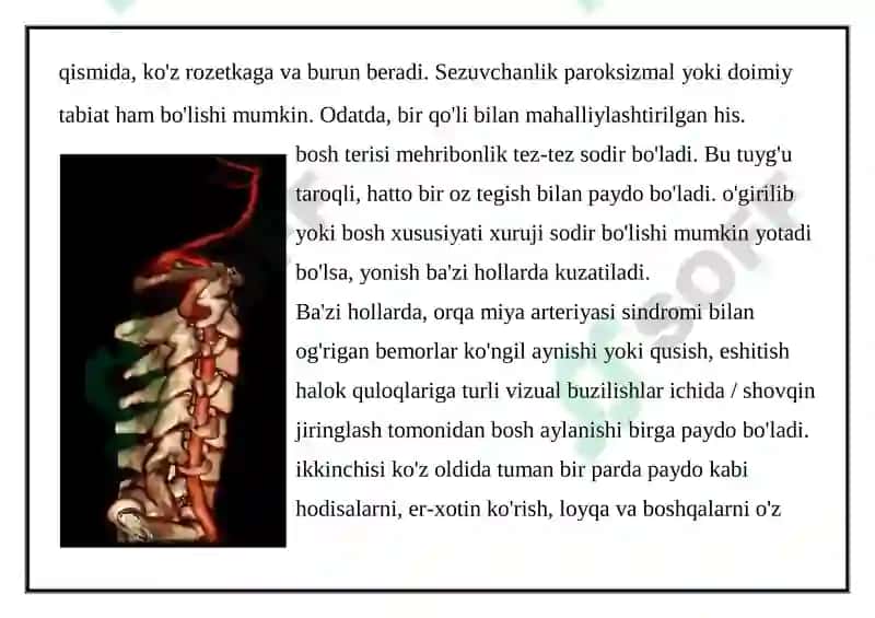 UMURTQA POG‘ONASI 7