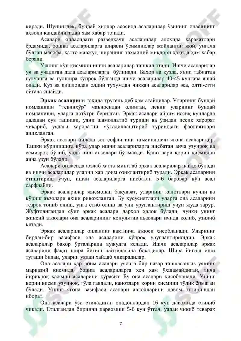Uy sharoitida asalarichilik uchun tavsiyanoma 7