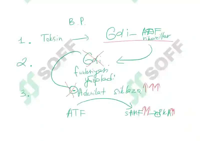signal transduction 8