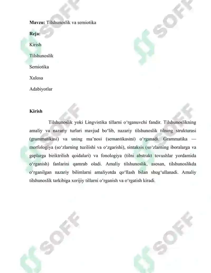 Tilning tizim sifatidagi mohiyati 8