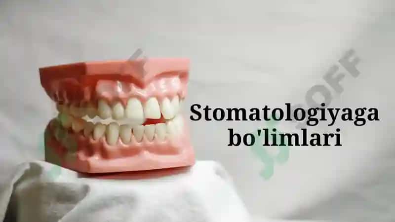 davolash va profillaktika stomotologiya muassasalarining asosiy tarkibiy bo'linmalari 8
